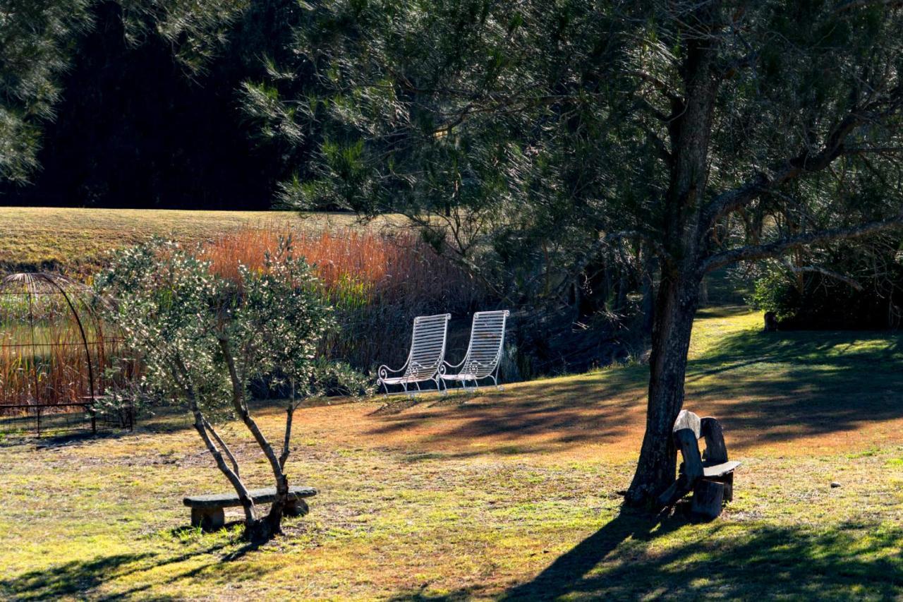 Thistle Hill Guesthouse - Walk To Many Wineries And Restaurants Pokolbin Dış mekan fotoğraf